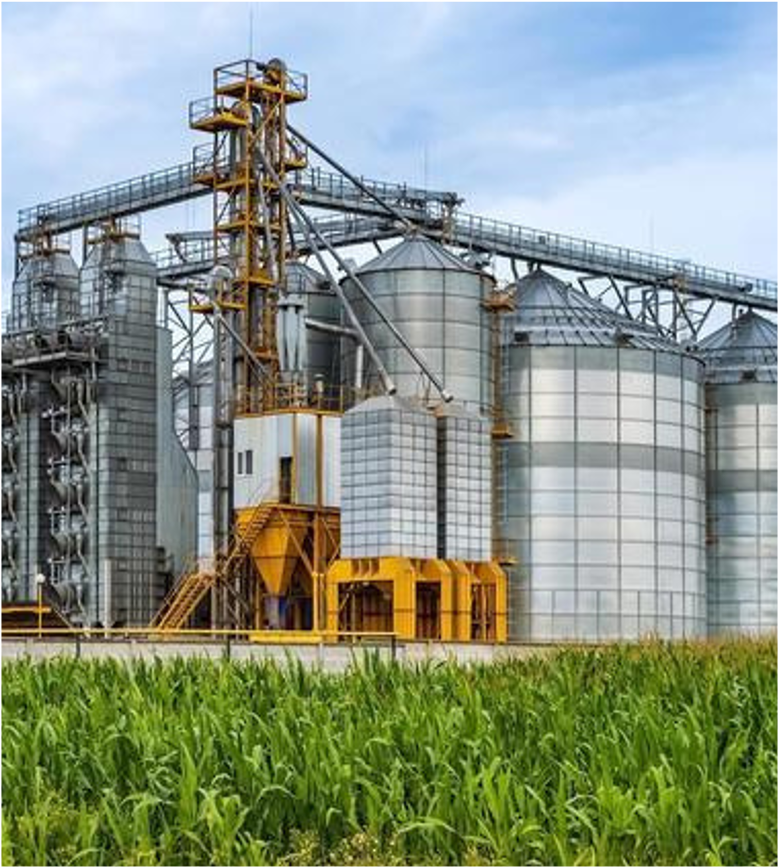 Agro-processing pipeline
